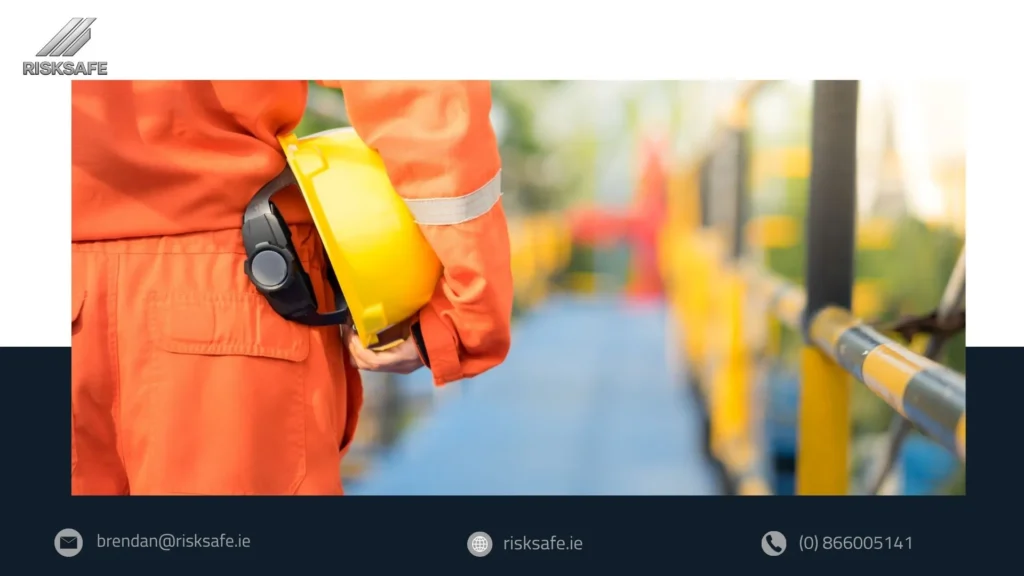 health and safety consultant Ireland workplace safety consultant Ireland